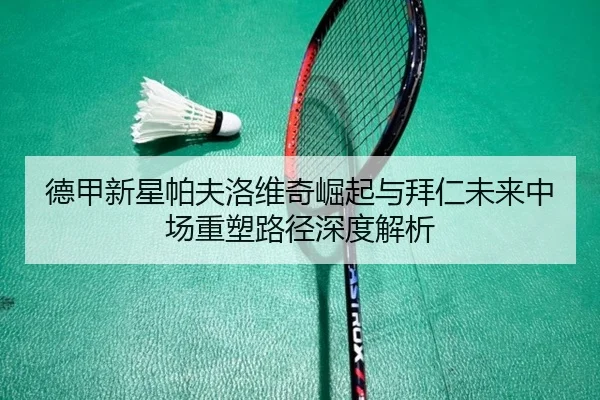 德甲新星帕夫洛维奇崛起与拜仁未来中场重塑路径深度解析